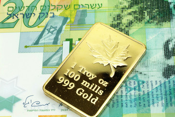 A macro image of a green twenty shekel note from Israel with a gold bar.  Shot close up.