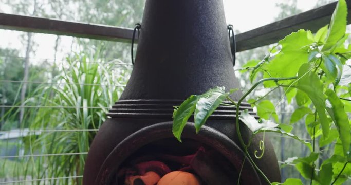 Human Skull in cast iron fire place pot belly Chiminea