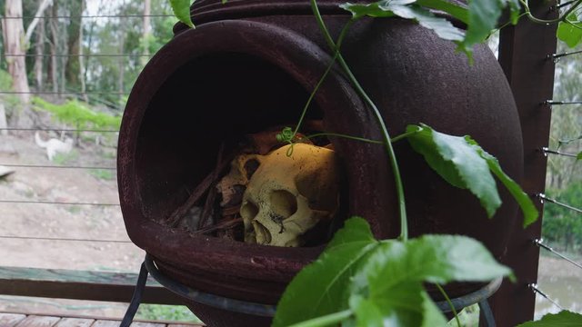 Human Skull in cast iron fire place pot belly Chiminea light breeze static shot