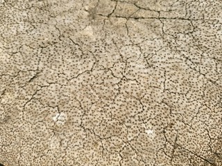 cracked earth texture