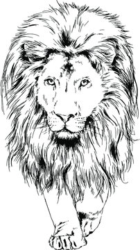 lion drawn with ink from the hands of a predator tattoo logo	