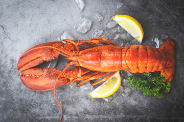 Fresh lobster food on a black plate background / red lobster dinner seafood with herb spices lemon served table and ice in the restaurant gourmet food healthy boiled lobster cooked