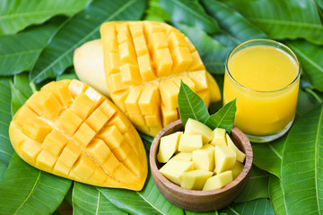 Sweet ripe mangos - Mango juice glass with mango slice on mango leaves from tree tropical summer fruit concept