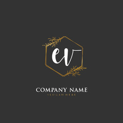 Handwritten initial letter E V EV for identity and logo. Vector logo template with handwriting and signature style.