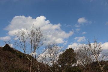 Obraz premium 日本の景色