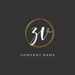 Handwritten initial letter Z V ZV for identity and logo. Vector logo template with handwriting and signature style.