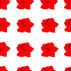 Seamless pattern gladiolus flowers vector spring botanical illustration