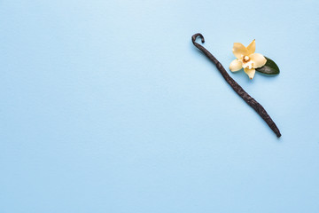 Aromatic vanilla stick and flower on color background
