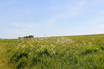 View of Stonehenge with green meadow, white flowers and blue sky on a sunny day in Spring, United...