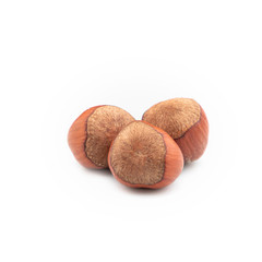 HAZELNUTS