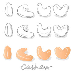 Cashew set vector illustration on white background. Isolated nut image .