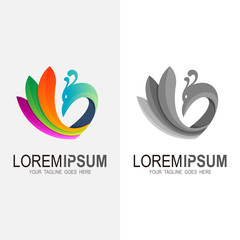 Peacock logo + beautiful peacock symbol with love