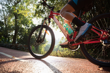 Fototapeta premium Woman cycling on bike path at sunrise park