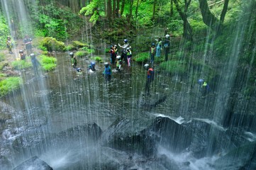 夏の大冒険