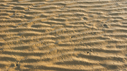 Detail structure of beach sand.
