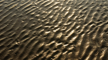 Detail structure of beach sand.