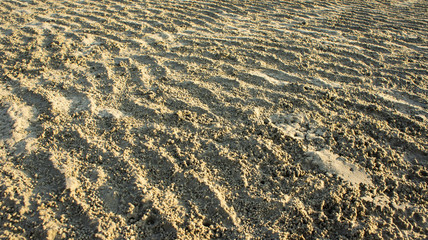 Detail structure of beach sand.