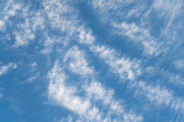 Cirrus is cloud stripe, white, feathery, ice crystal. Blue background of the sky.