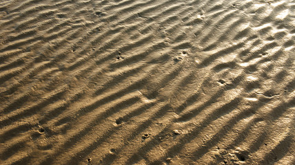 Detail structure of beach sand.