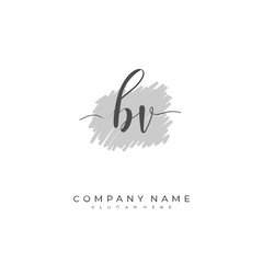 Obraz premium Handwritten initial letter B V BV for identity and logo. Vector logo template with handwriting and signature style.