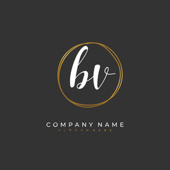 Handwritten initial letter B V BV for identity and logo. Vector logo template with handwriting and signature style.