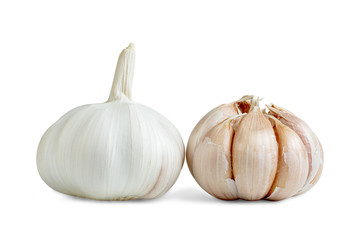 garlic isolated on white background ,include clipping path