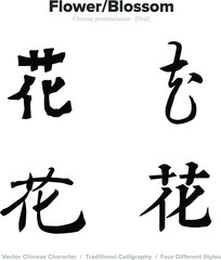 flower, blossom - Chinese Calligraphy with translation, 4 styles