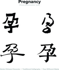 pregnancy, pregnant - Chinese Calligraphy with translation, 4 styles