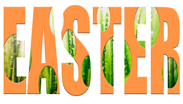font EASTER . Color print Easter , green grass with dew, embossed in the form of Easter eggs