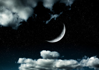 Fototapeta na wymiar The moon in the night sky