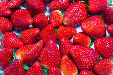 gros plan de belles fraises