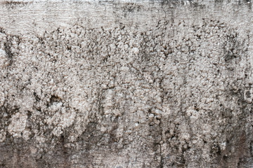 The wall of concrete decorative bricks