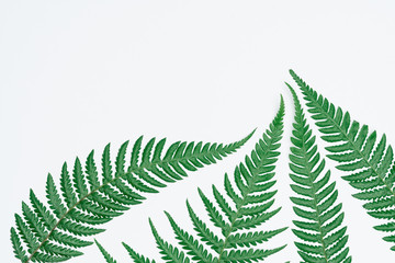 Creative layout made of papers and leaves Flat lay. Minimal nature concept.