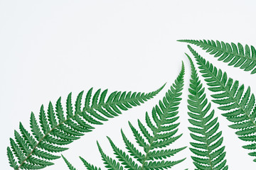 Creative layout made of papers and leaves Flat lay. Minimal nature concept.