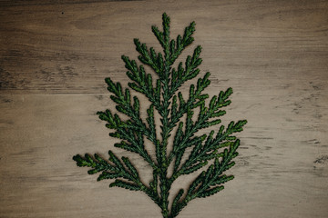 Creative layout made of wood and leaves. Flat lay. Minimal nature concept.