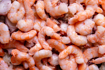 Ensalada de Cámaron 