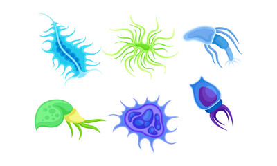 Bacteria and Germs of Different Shapes Isolated on White Background Vector Set