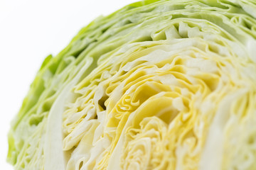 新鮮採れたて！春キャベツ