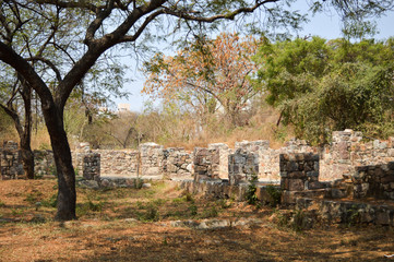 tree branches of seven tombs dome in hydrabad india