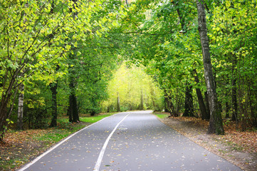 walkway in green park, asphalt road, bicycle route