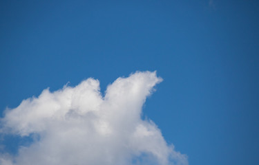 A white cloud shaped like a swimming turtle isolated in the clear blue sky image in horizontal format with copy space