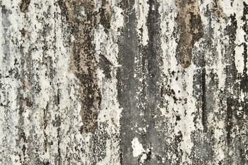 abandon scary wall of seven tombs in Hyderabad india 