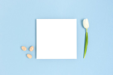 Layout of paper card, easter eggs and flower on a blue pastel background. Concept with place for text.