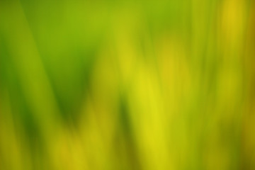 green background of grass