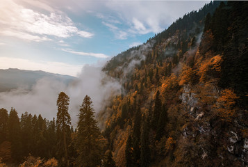 The mountain autumn landscape with colorful forest and high peaks Caucasus Mountains