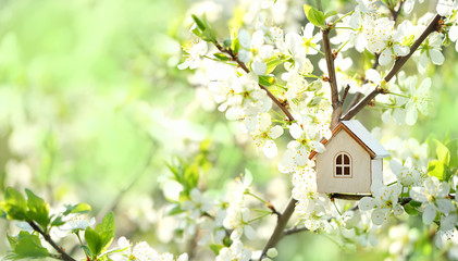 toy house and cherry flowers. spring natural background. concept of mortgage, construction, rental,...