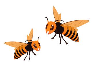 オオスズメバチのイラスト_2匹_向かい合う