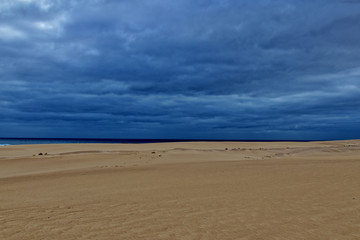 landscape from the Spanish Canary Island Fuerteventura with dunes and the ocean