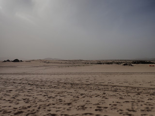 landscape from the Spanish Canary Island Fuerteventura with dunes and the ocean