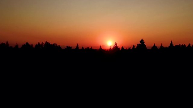 Silhouette Of Pine Tree Tops With Round Bright Sun And Colorful Sky In The Background On A Glorious Sunset Scenery In Washington, USA - Panoramic Shot